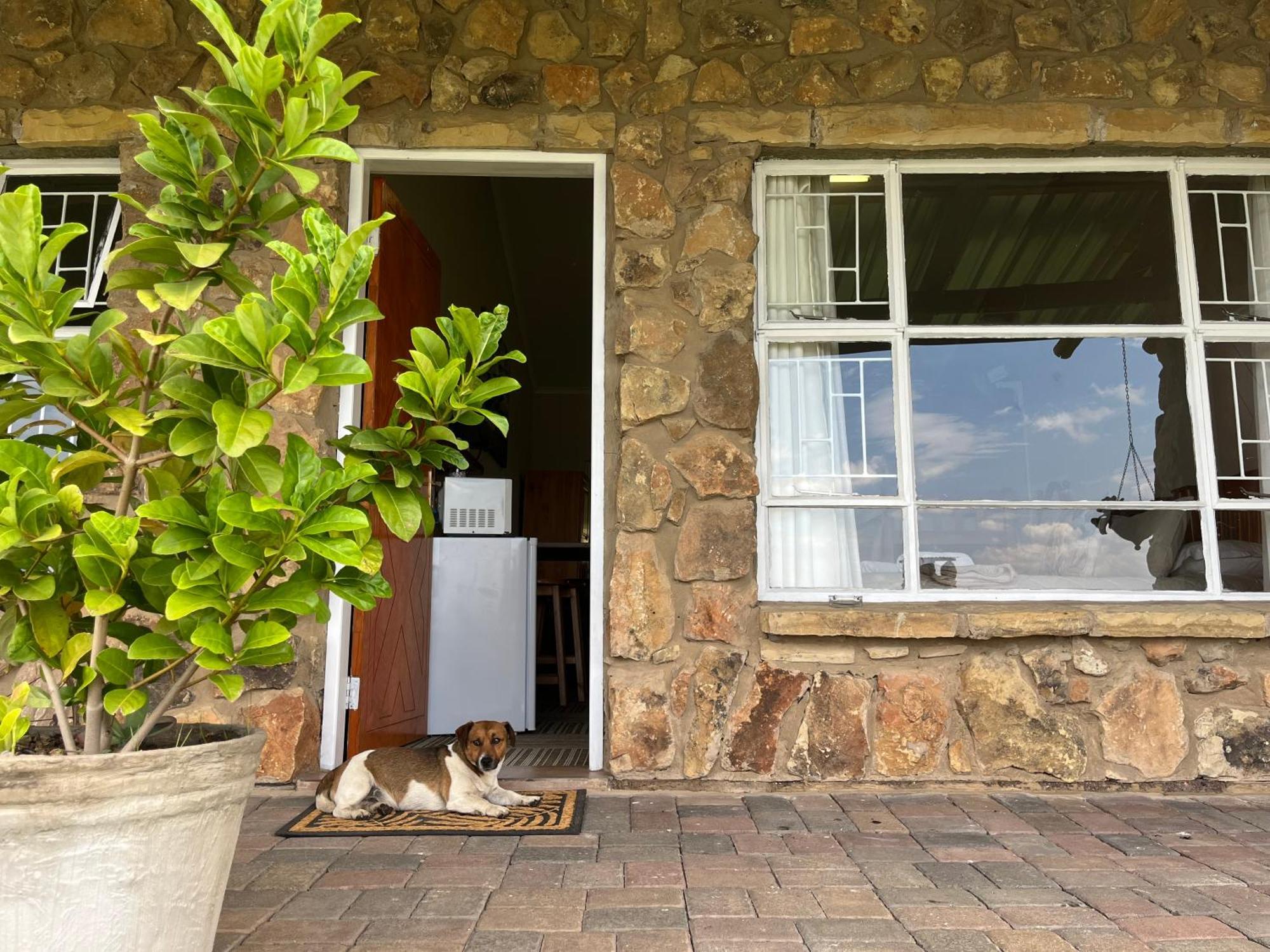 Uitzicht Private Nature Reserve And Lodge فوريسبرغ الغرفة الصورة