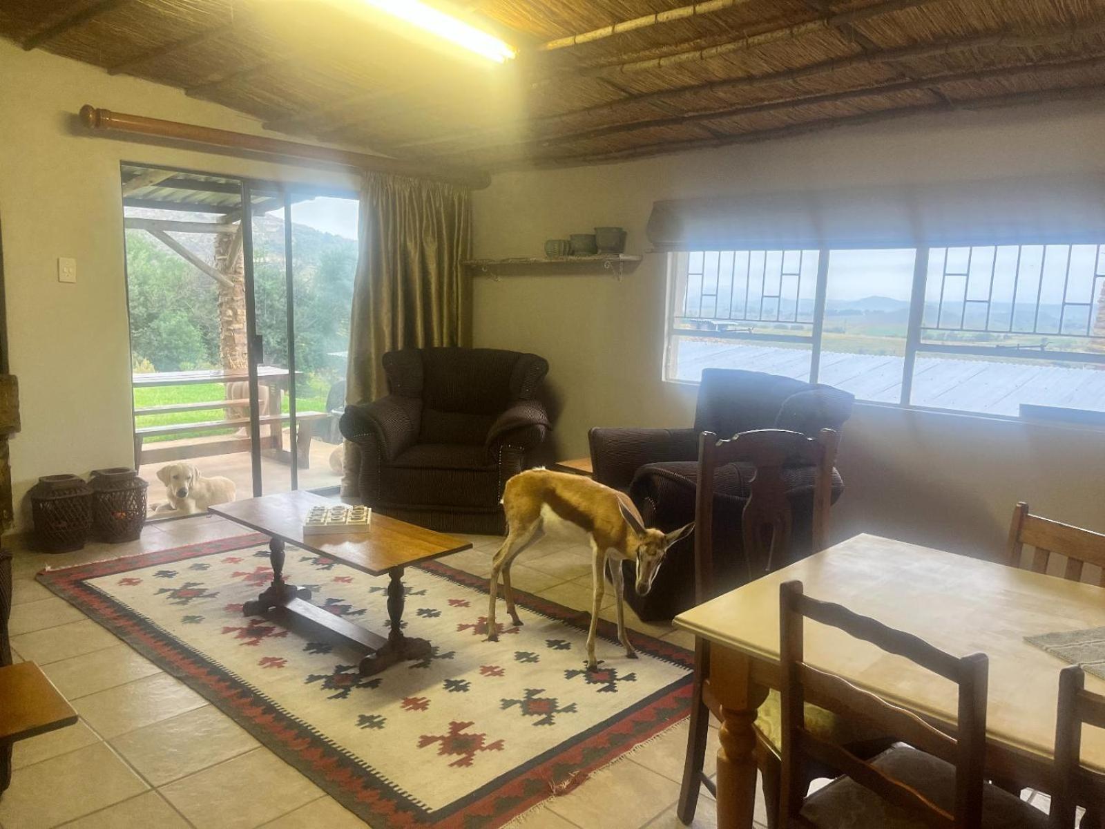 Uitzicht Private Nature Reserve And Lodge فوريسبرغ المظهر الخارجي الصورة