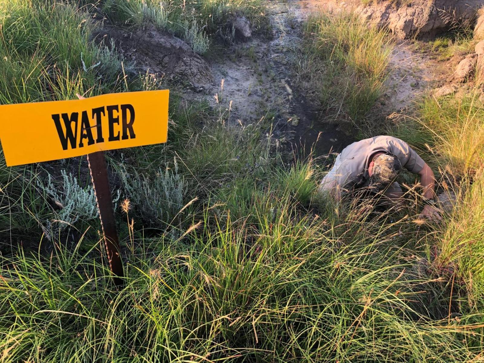 Uitzicht Private Nature Reserve And Lodge فوريسبرغ المظهر الخارجي الصورة